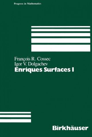 Buch Enriques Surfaces I F. Cossec