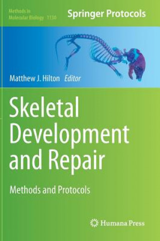 Könyv Skeletal Development and Repair Matthew J. Hilton