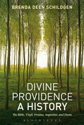 Książka Divine Providence: A History Brenda Deen Schildgen