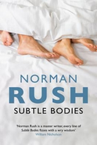 Book Subtle Bodies Norman Rush