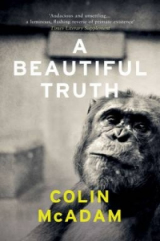 Kniha Beautiful Truth Colin McAdam