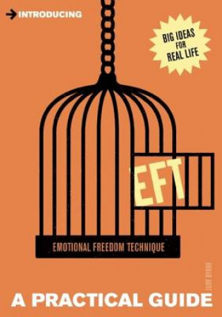 Kniha Practical Guide to EFT Judy Byrne