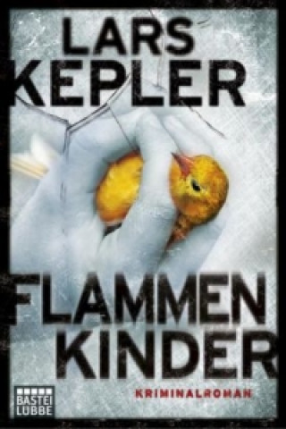 Kniha Flammenkinder Lars Kepler