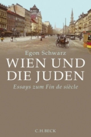 Kniha Wien und die Juden Egon Schwarz