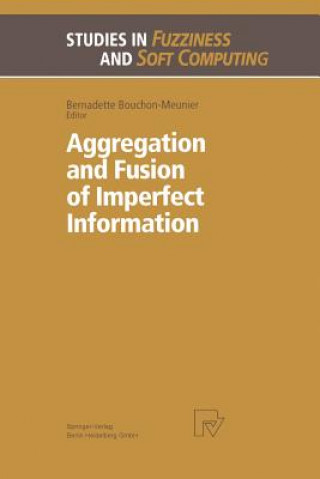 Könyv Aggregation and Fusion of Imperfect Information Bernadette Bouchon-Meunier
