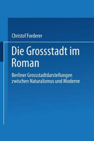 Knjiga Die Grossstadt Im Roman Christof Forderer