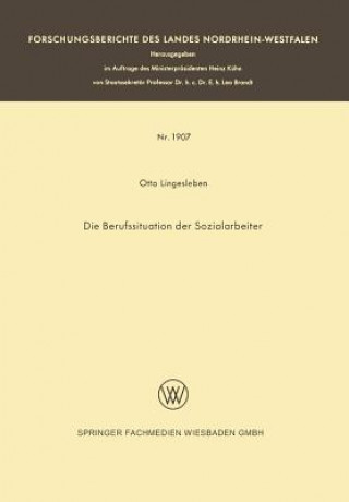 Kniha Die Berufssituation Der Sozialarbeiter Otto Lingesleben