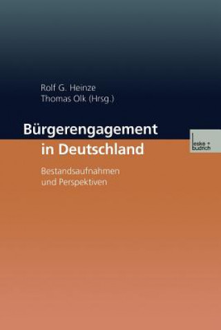 Kniha B rgerengagement in Deutschland Rolf G. Heinze