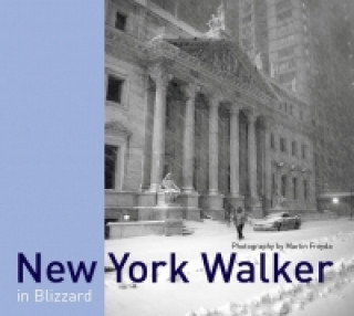 Könyv New York Walker in Blizzard (anglicky) Martin Froyda