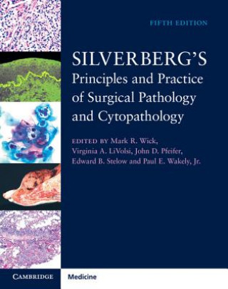 Kniha Silverberg's Principles and Practice of Surgical Pathology and Cytopathology 4 Volume Set with Online Access Mark Wick