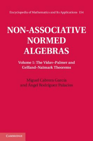 Книга Non-Associative Normed Algebras Miguel Cabrera García