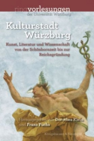 Kniha Kulturstadt Würzburg Dorothea Klein