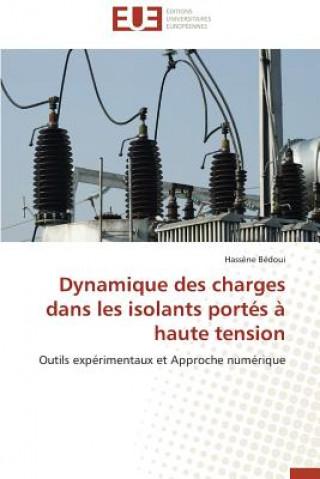 Könyv Dynamique Des Charges Dans Les Isolants Port s   Haute Tension Hass