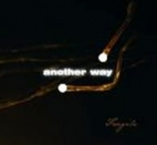 Audio Another Way - Fragile - 1 CD neuvedený autor