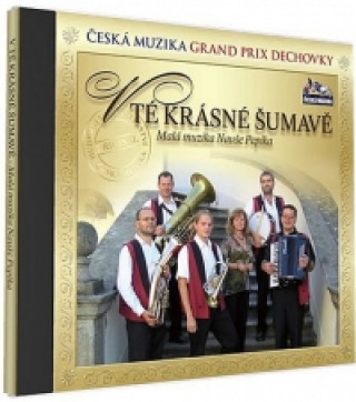 Audio Malá muzika Nauše Pepíka - V tě krásné Šumavě - 1 CD neuvedený autor