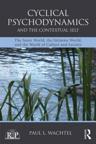 Buch Cyclical Psychodynamics and the Contextual Self Paul L Wachtel