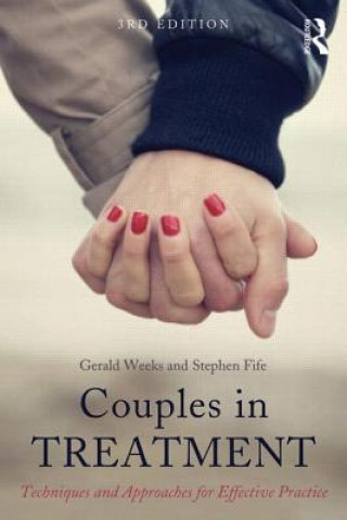 Kniha Couples in Treatment Gerald R Weeks & Stephen T Fife