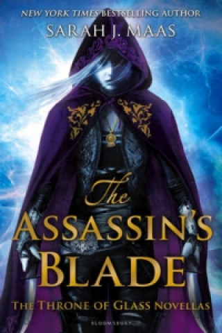 Carte Assassin's Blade Sarah Janet Maas
