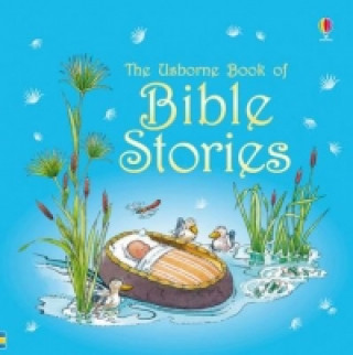 Kniha Bible Stories Heather Amery