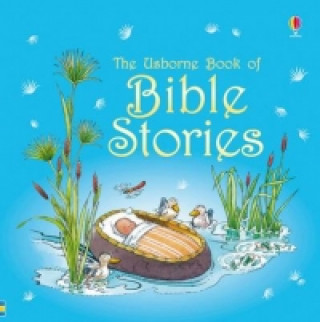 Book Bible Stories Heather Amery