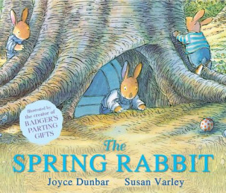 Kniha Spring Rabbit Joyce Dunbar