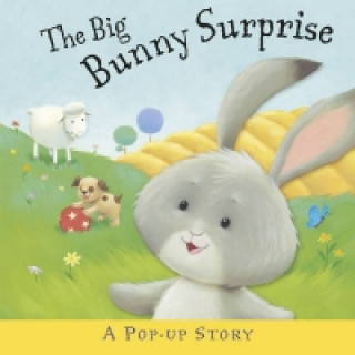 Książka Big Bunny Surprise Liza Miller