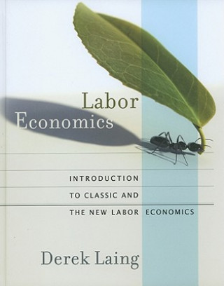 Kniha Labor Economics Derek Laing