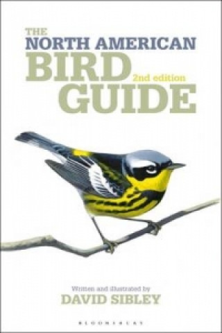 Könyv North American Bird Guide 2nd Edition David Sibley