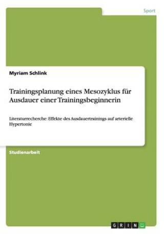Carte Trainingsplanung eines Mesozyklus fur Ausdauer einer Trainingsbeginnerin Myriam Schlink