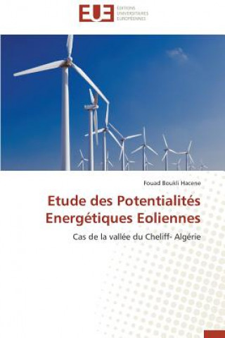 Kniha Etude Des Potentialit s Energ tiques Eoliennes Fouad Boukli Hacene