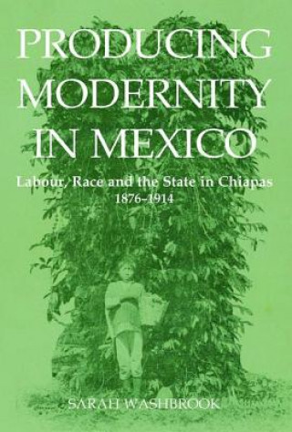Könyv Producing Modernity in Mexico Sarah Washbrook