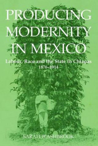 Libro Producing Modernity in Mexico Sarah Washbrook