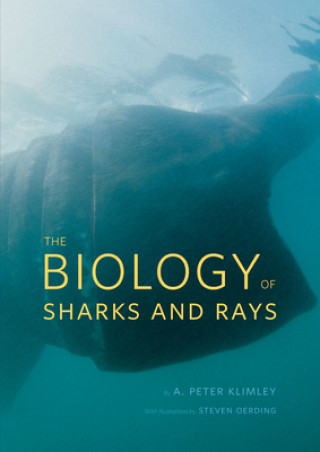Kniha Biology of Sharks and Rays Peter A. Klimley