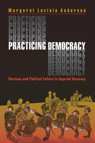 Book Practicing Democracy Margaret Lavinia Anderson