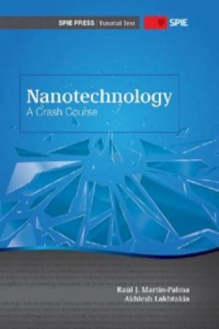 Knjiga Nanotechnology Raul J Martin Palma