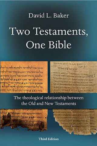 Kniha Old Testament Survey Sailhamer