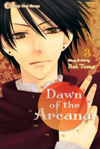 Книга Dawn of the Arcana, Vol. 3 Rei Toma