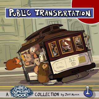 Knjiga Public Transportation Jeff Mumm