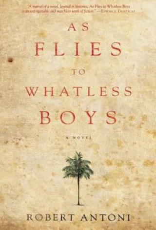 Carte As Flies to Whatless Boys Robert Antoni