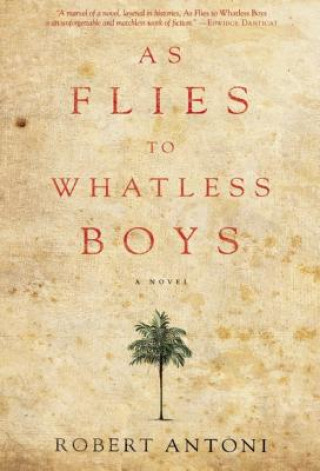 Livre As Flies to Whatless Boys Robert Antoni