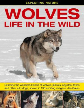 Book Exploring Nature: Wolves - Life in the Wild Dr Jen Green