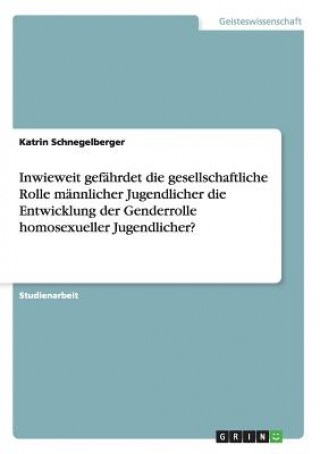 Książka Inwieweit gefahrdet die gesellschaftliche Rolle mannlicher Jugendlicher die Entwicklung der Genderrolle homosexueller Jugendlicher? Katrin Schnegelberger