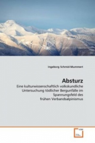 Livre Absturz Ingeborg Schmid-Mummert