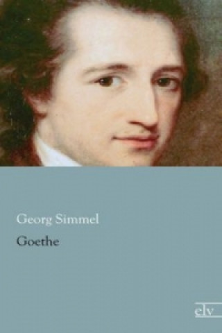 Libro Goethe Georg Simmel