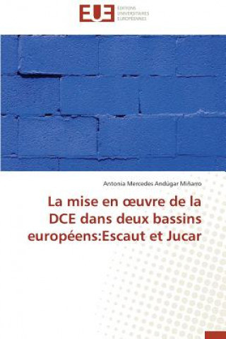 Książka Mise En Uvre de la DCE Dans Deux Bassins Europ ens Antonia Mercedes Andúgar Mi