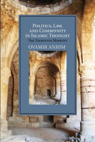 Könyv Politics, Law, and Community in Islamic Thought Ovamir Anjum