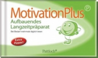 Könyv MotivationPlus Sabine Sommer