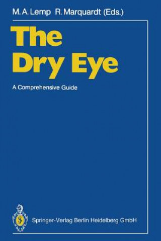 Könyv Dry Eye Michael A. Lemp