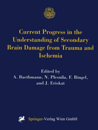Könyv Current Progress in the Understanding of Secondary Brain Damage from Trauma and Ischemia A. Baethmann