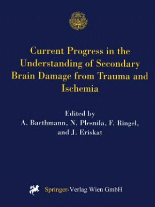 Книга Current Progress in the Understanding of Secondary Brain Damage from Trauma and Ischemia A. Baethmann